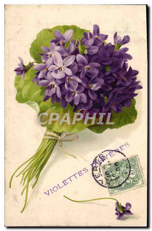 CPA Fantaisie Fleurs Violettes du Hyeres