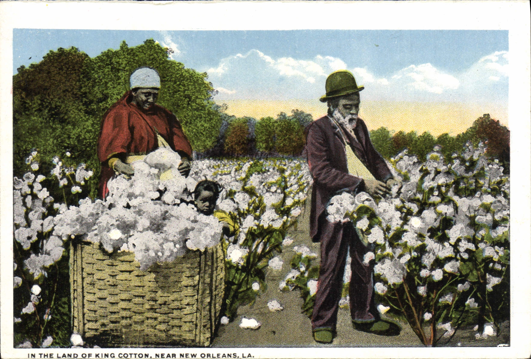 CPA In The Land Of King Cotton Near New Orleans La Suicide Oak Ciry Park