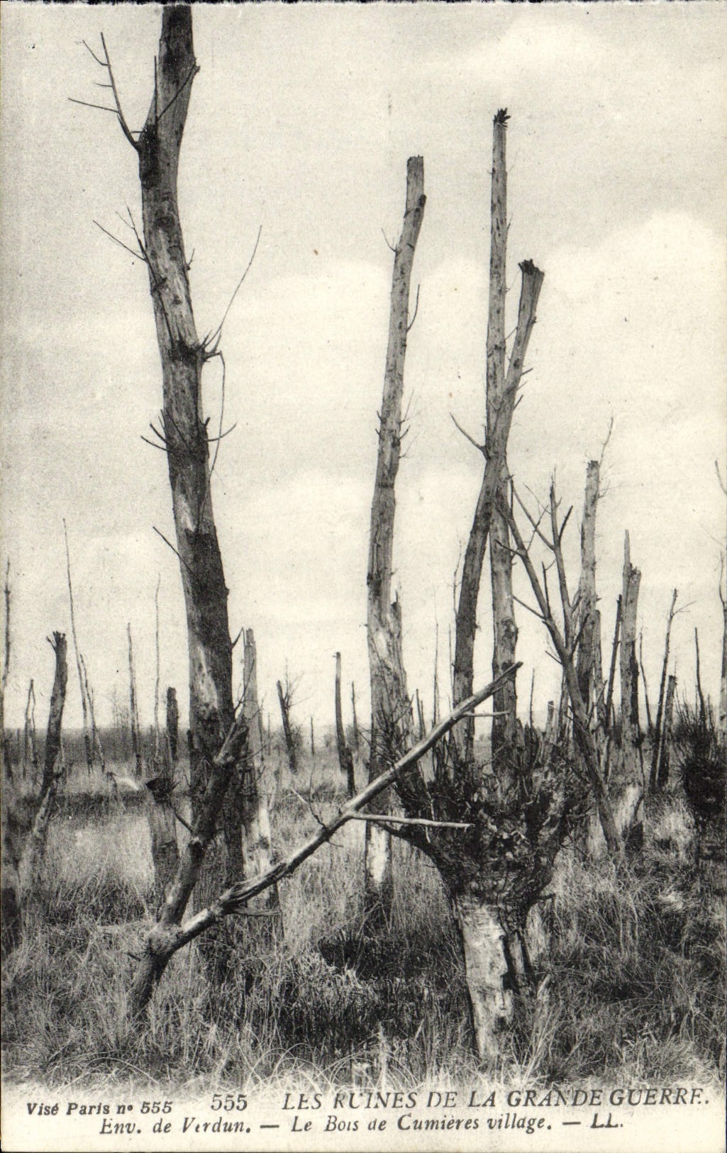 Les ruines de la Grande Guerre — Le Bois de Cumières village — Visé Paris n° 555
