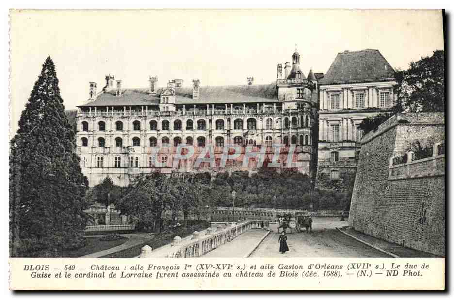 CPA Blois Chateau Aile Francois 1er