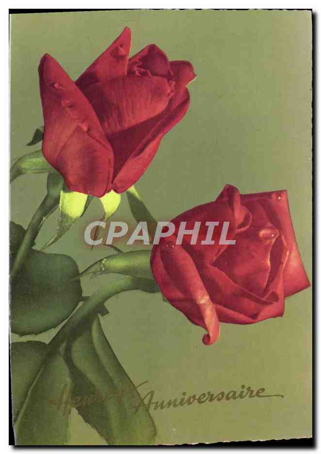 CPA Fantaisie Fleurs 