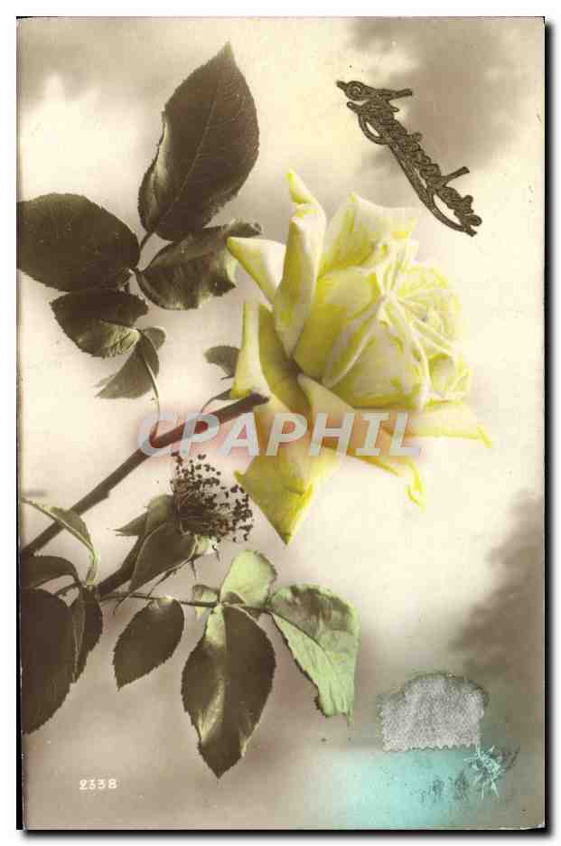 CPA Fantaisie Fleurs 