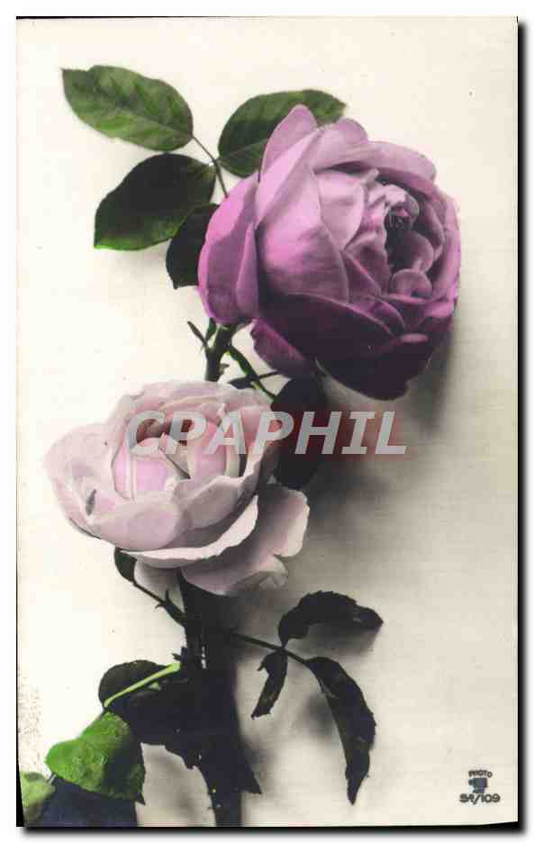 CPA Fantaisie Fleurs 