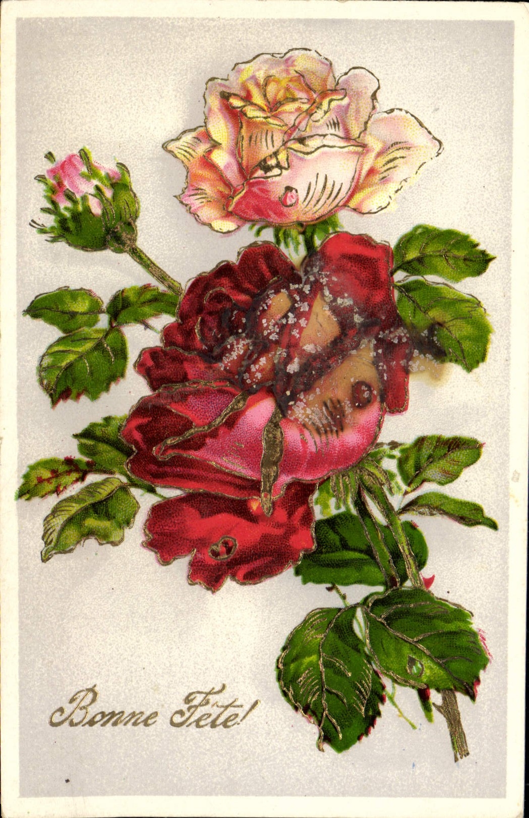 Roses — carte de vœux — éditeur non visible