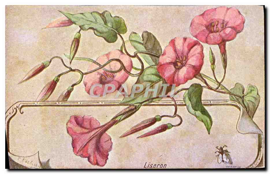 CPA Fantaisie Fleurs 