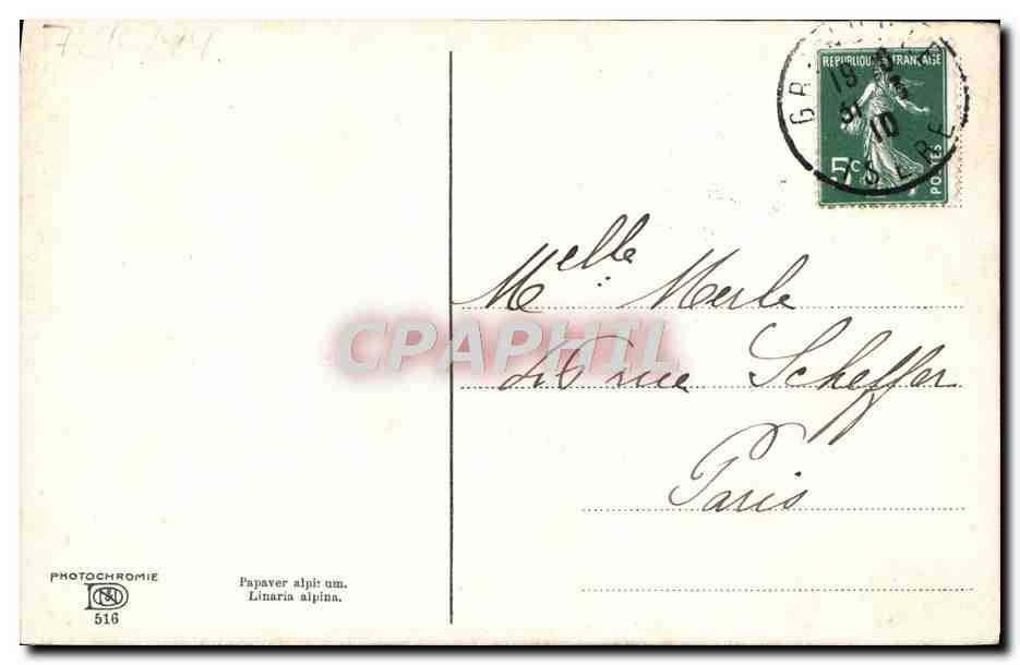 CPA Fantaisie Fleurs  — Verso