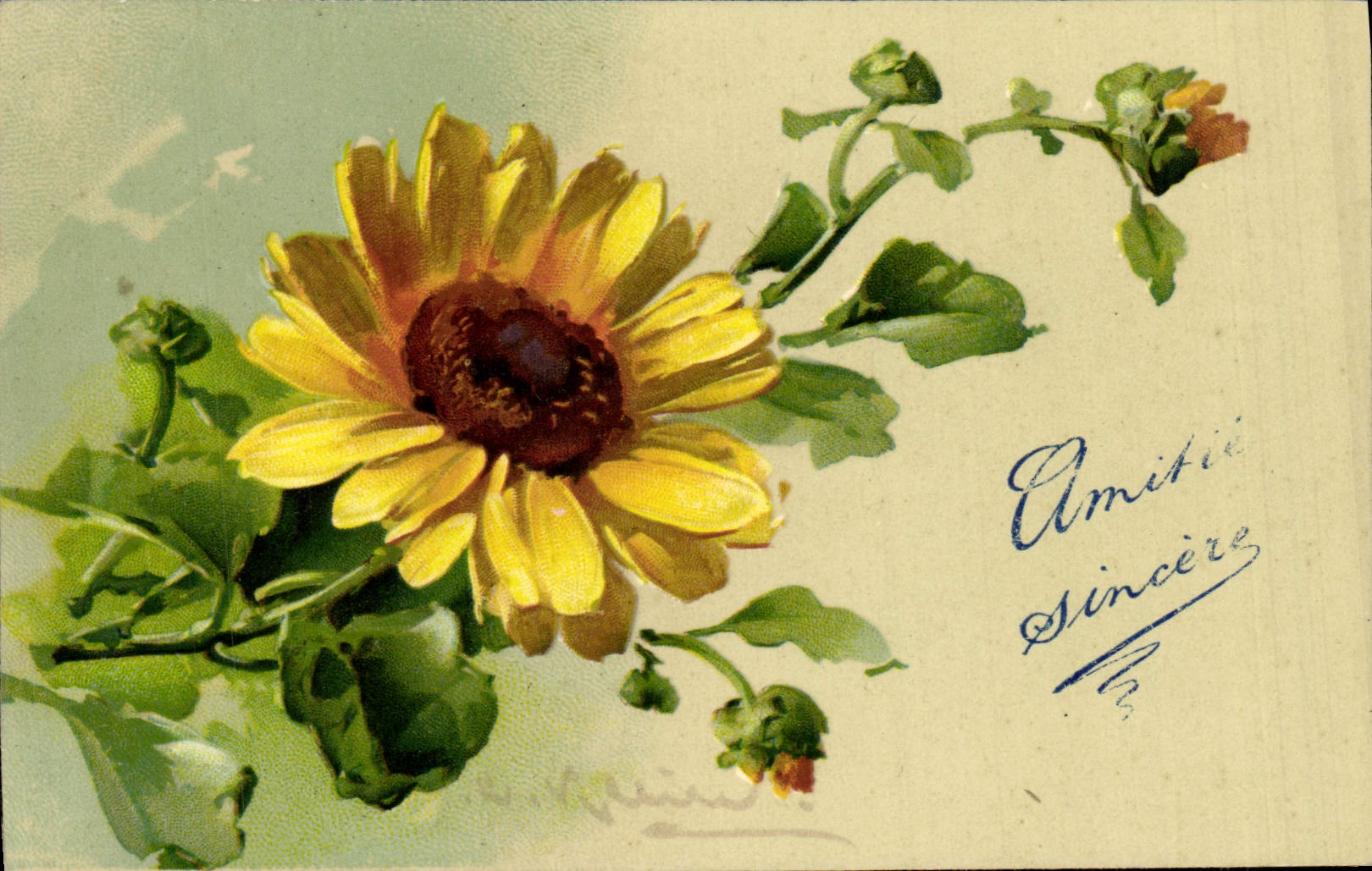 CPA Fantaisie Fleurs 