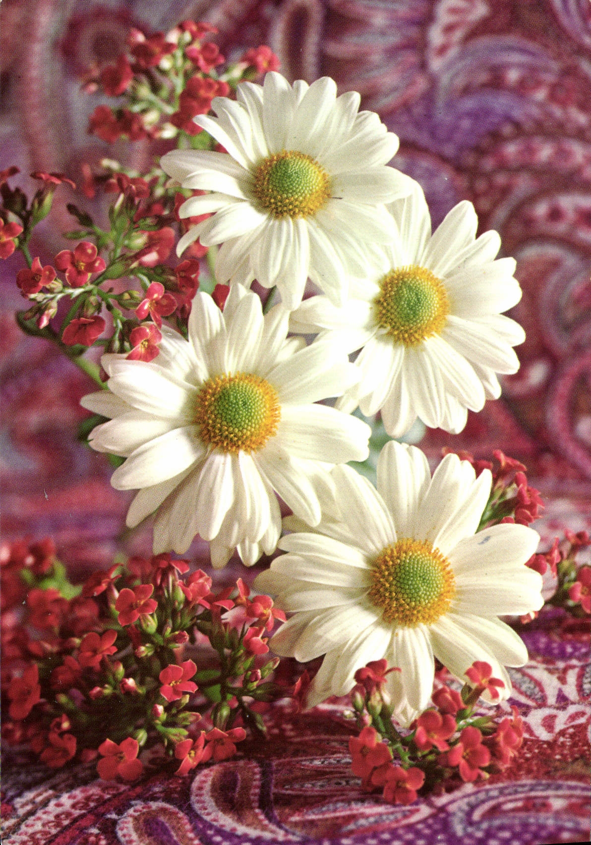 CPM Fantaisie Fleurs 