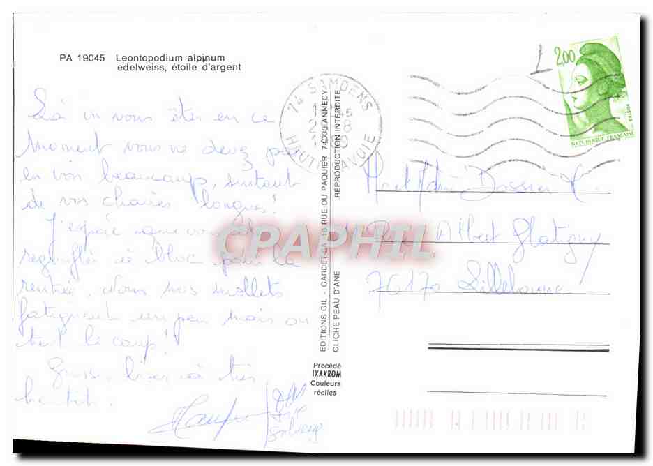 CPM Fantaisie Fleurs Edelweiss Fleurs des Alpes — Back
