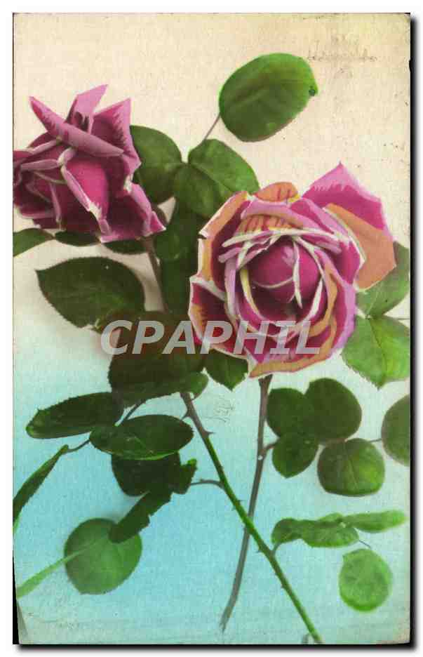 CPA Fantaisie Fleurs 