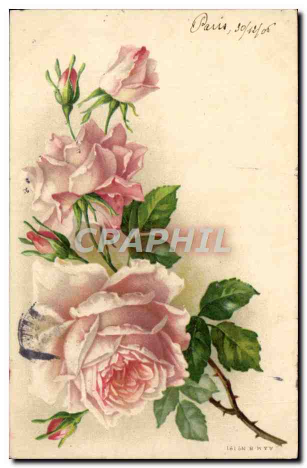 CPA Fantaisie Fleurs 