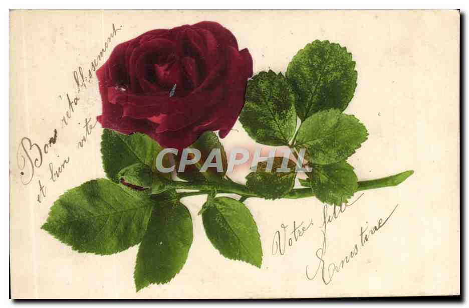 CPA Fantaisie Fleurs 