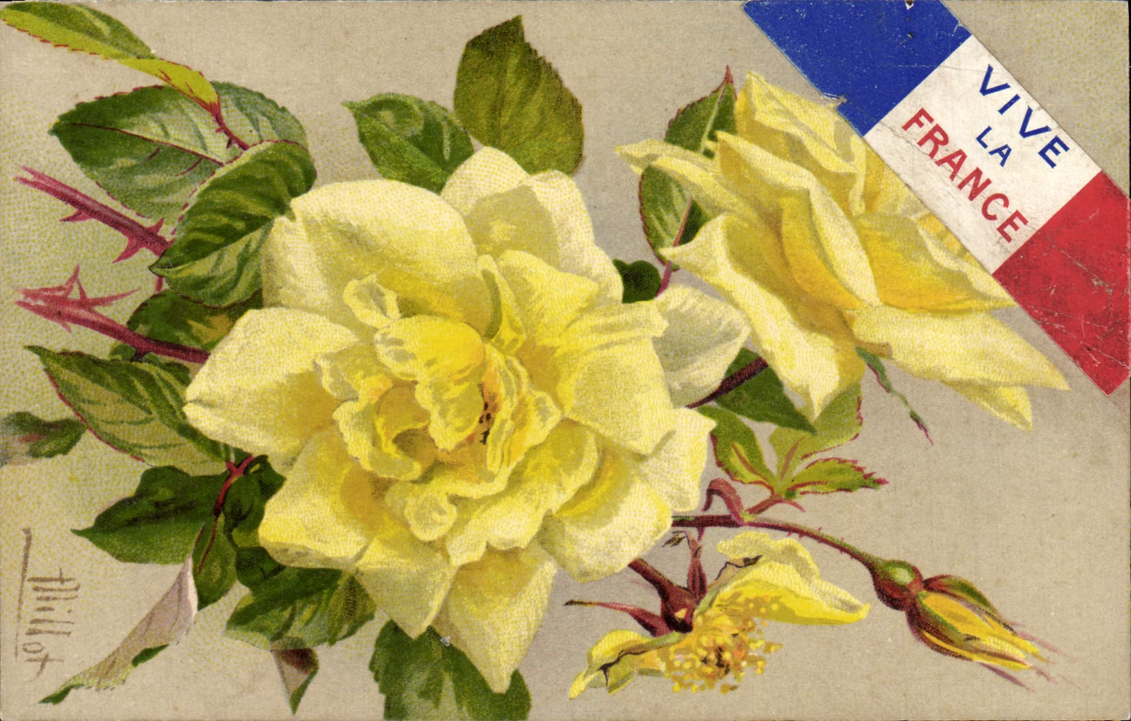 CPA Fantaisie Fleurs Vive la France