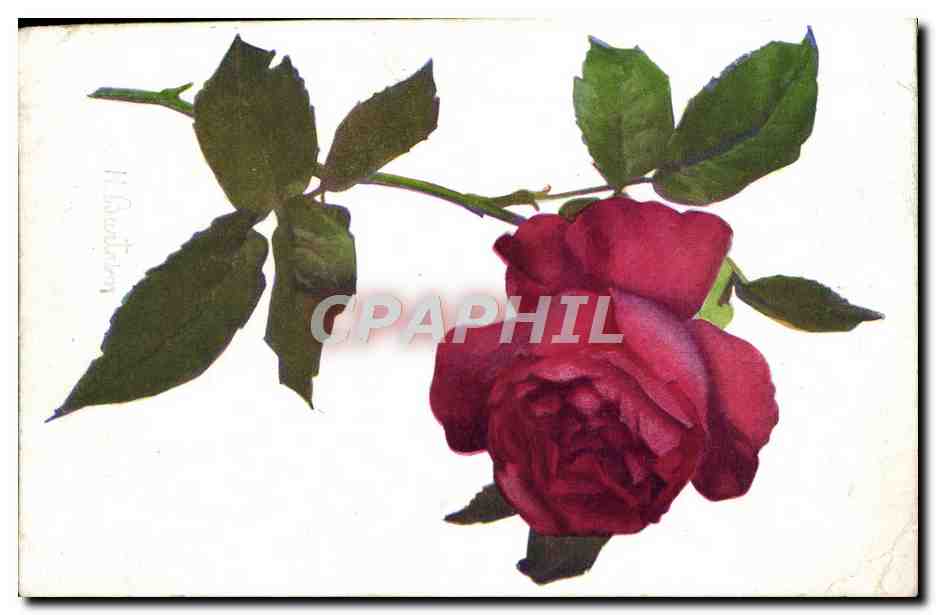 CPA Fantaisie Fleurs 