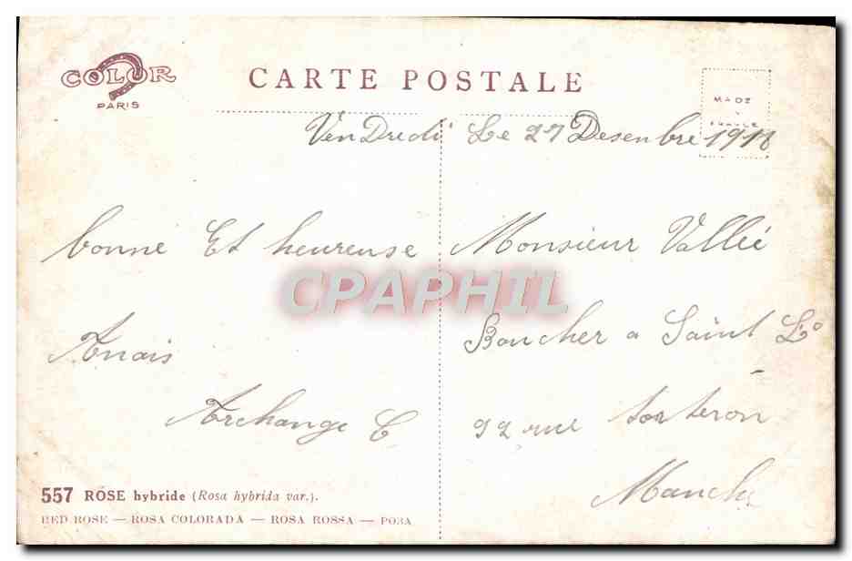 CPA Fantaisie Fleurs  — Back