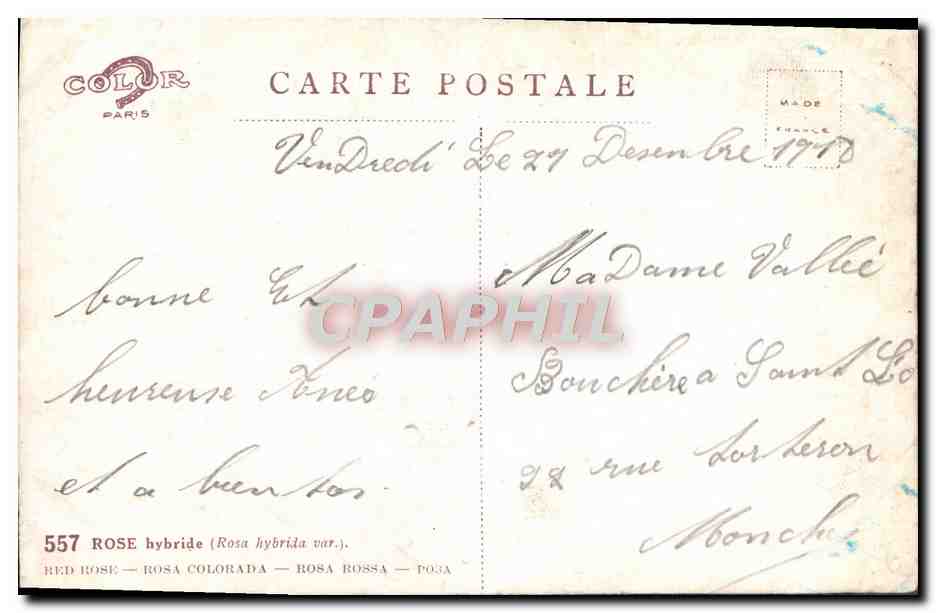 CPA Fantaisie Fleurs  — Verso