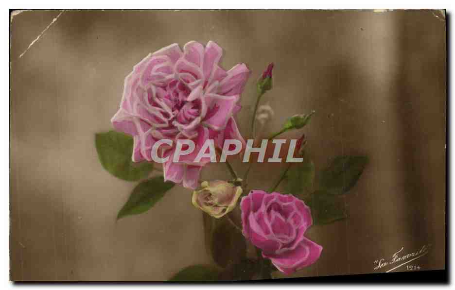 CPA Fantaisie Fleurs 