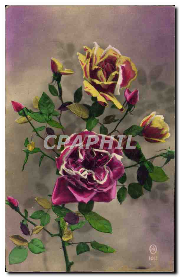 CPA Fantaisie Fleurs 