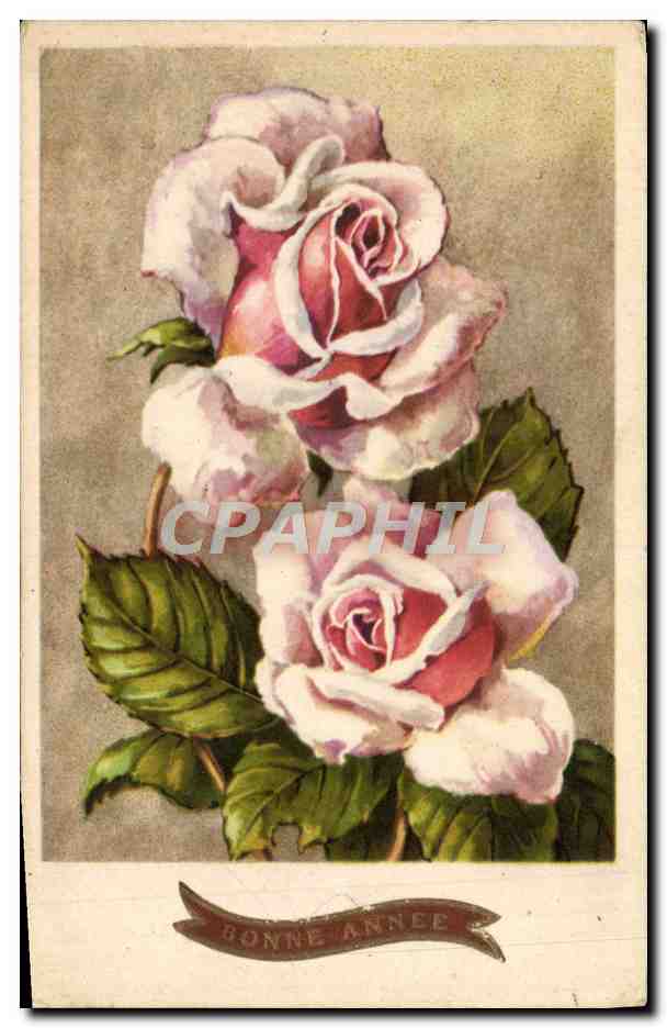 CPA Fantaisie Fleurs 
