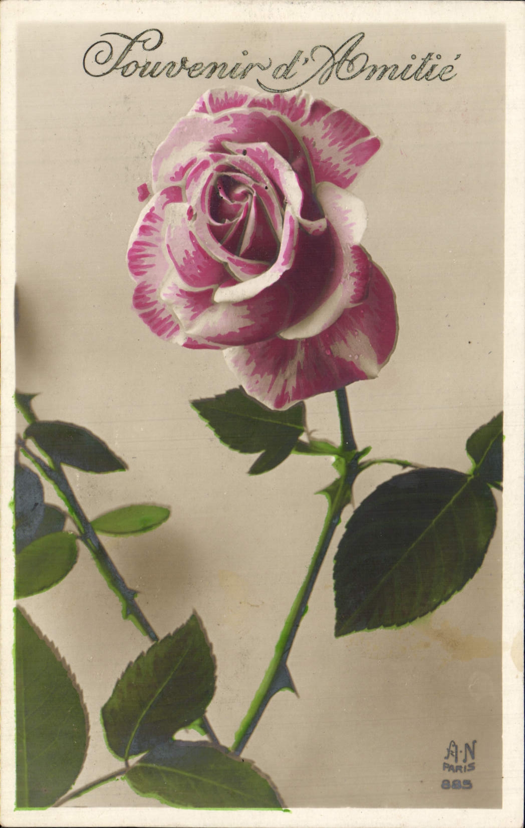 CPA Fantaisie Fleurs 