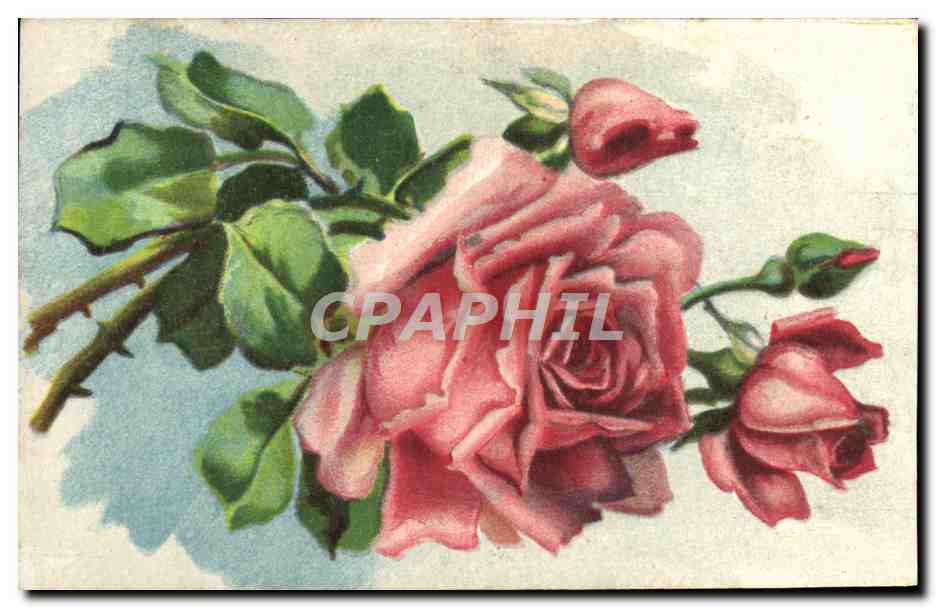 CPA Fantaisie Fleurs 