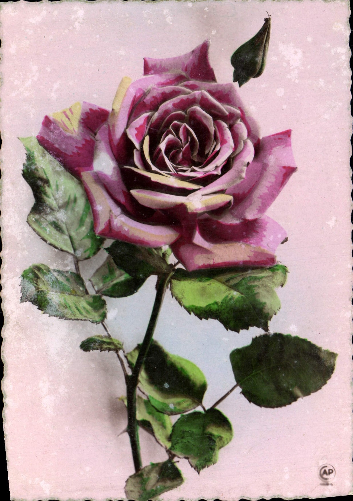 CPA Fantaisie Fleurs 