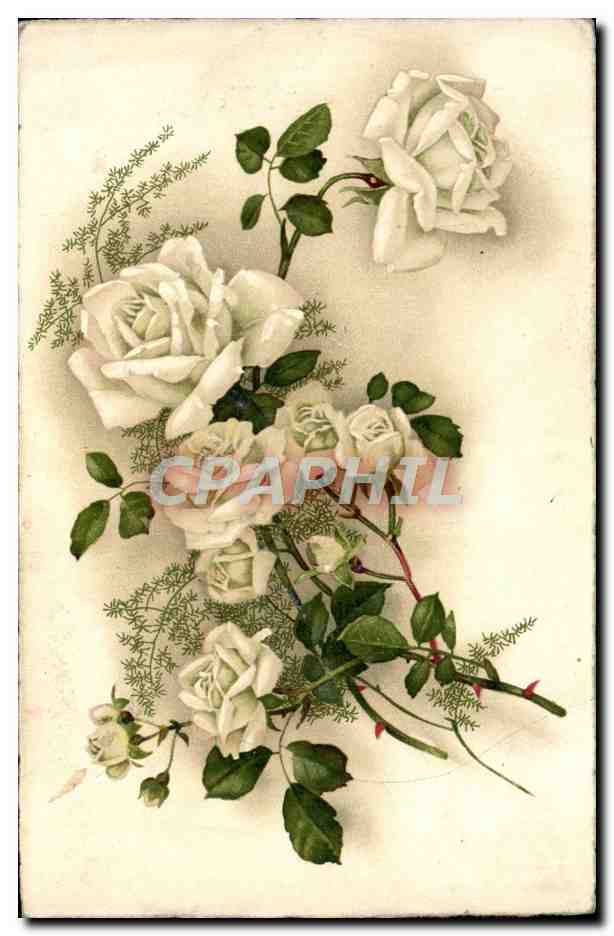 CPA Fantaisie Fleurs 