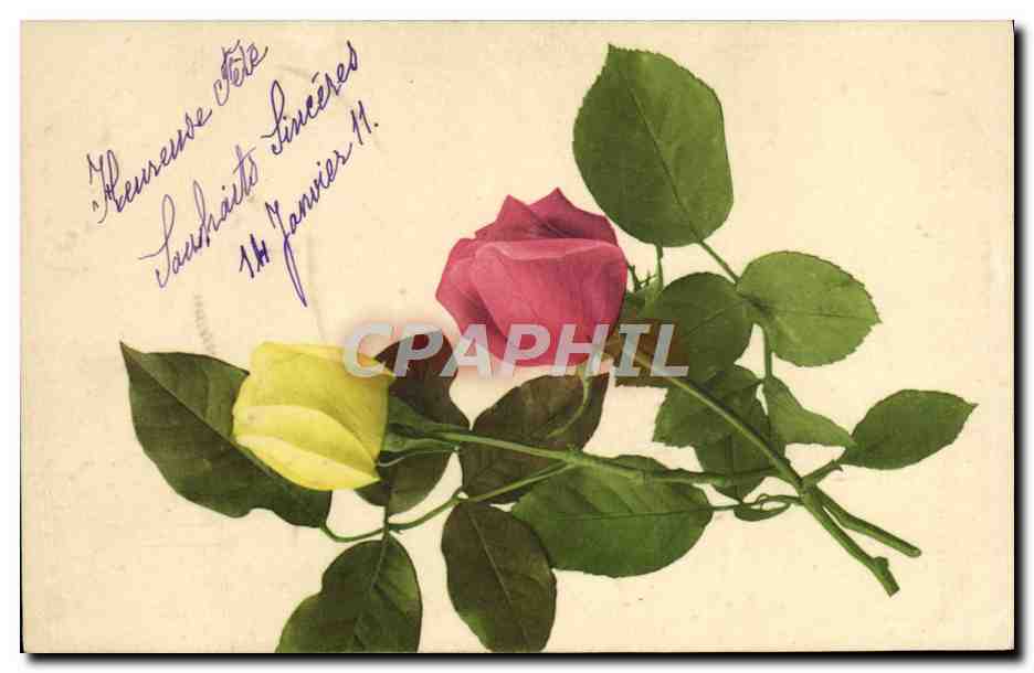 CPA Fantaisie Fleurs 