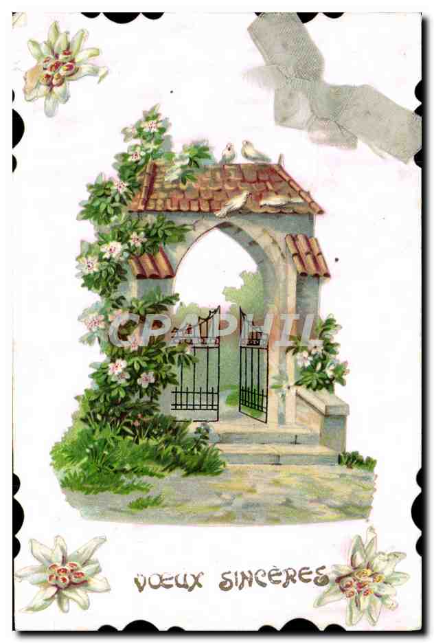 CPA Fantaisie Fleurs 
