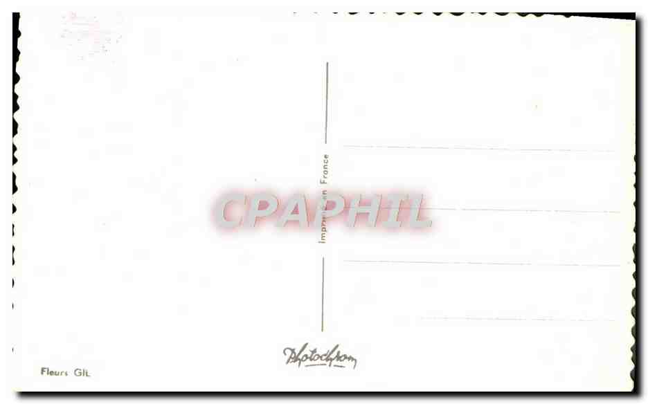 CPA Fantaisie Fleurs  — Back