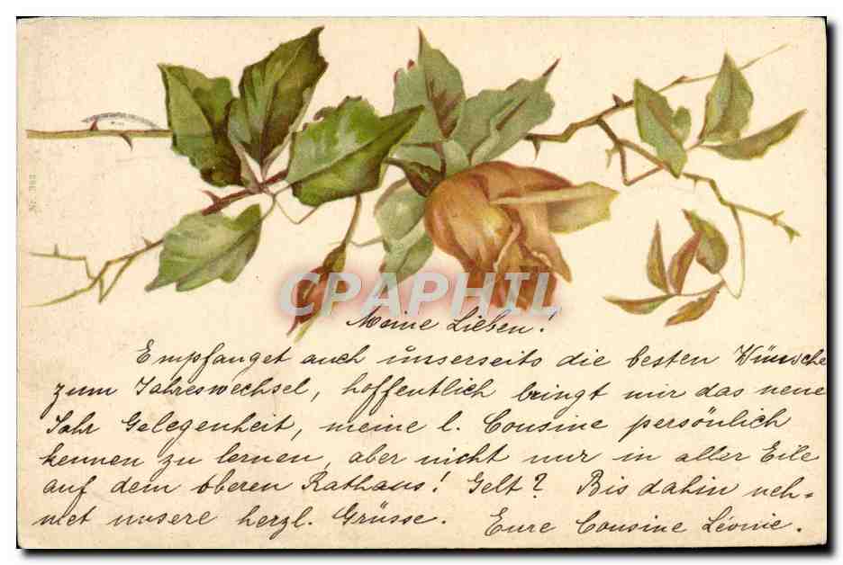 CPA Fantaisie Fleurs 