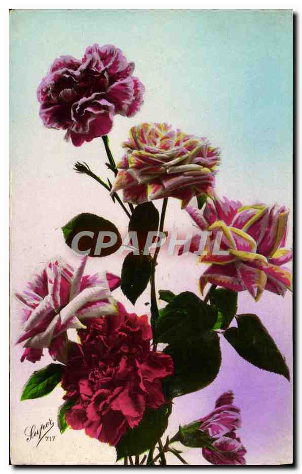CPA Fantaisie Fleurs
