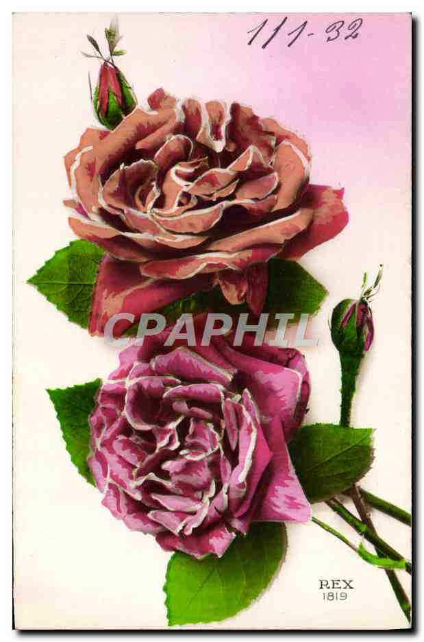 CPA Fantaisie Fleurs 