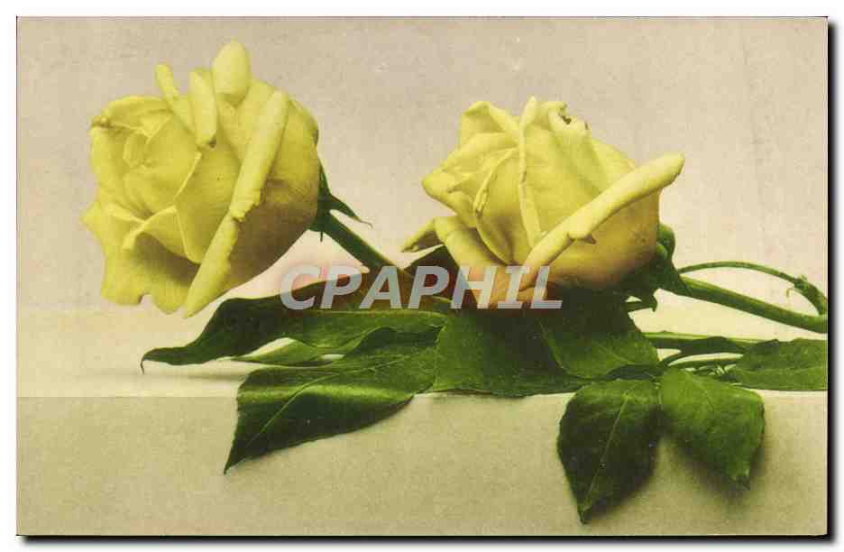 CPA Fantaisie Fleurs 