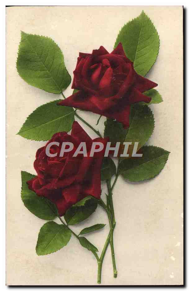 CPA Fantaisie Fleurs 