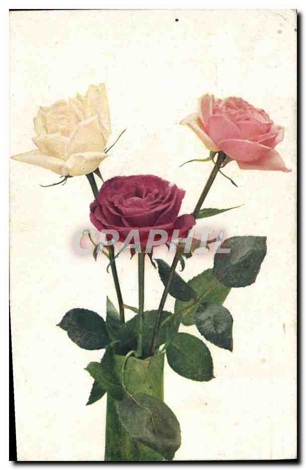 CPA Fantaisie Fleurs 