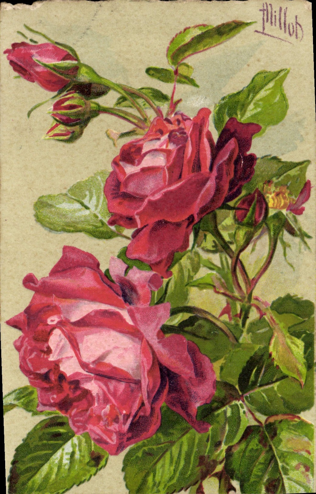 CPA Fantaisie Fleurs 