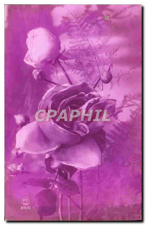CPA Fantaisie Fleurs 