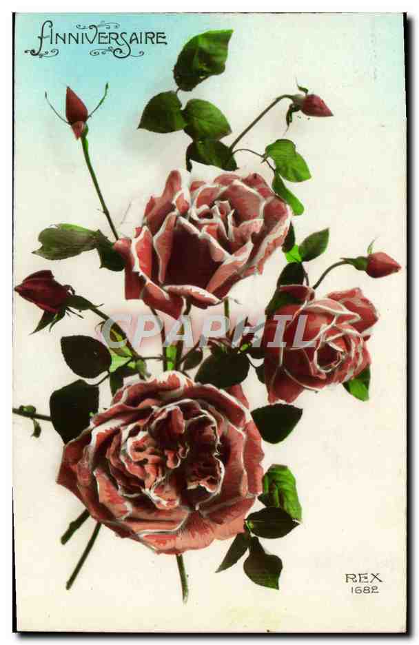 CPA Fantaisie Fleurs 