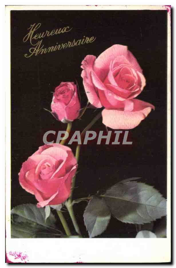 CPA Fantaisie Fleurs 