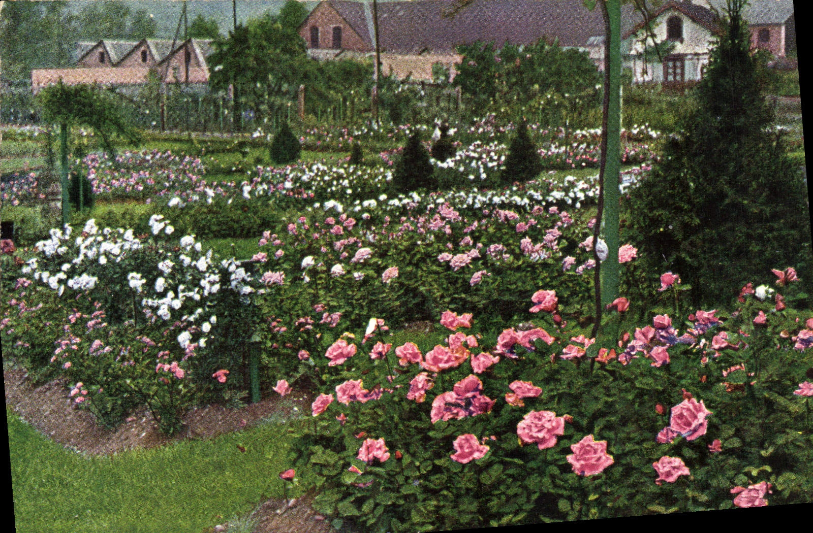 CPA Fantaisie Fleurs 