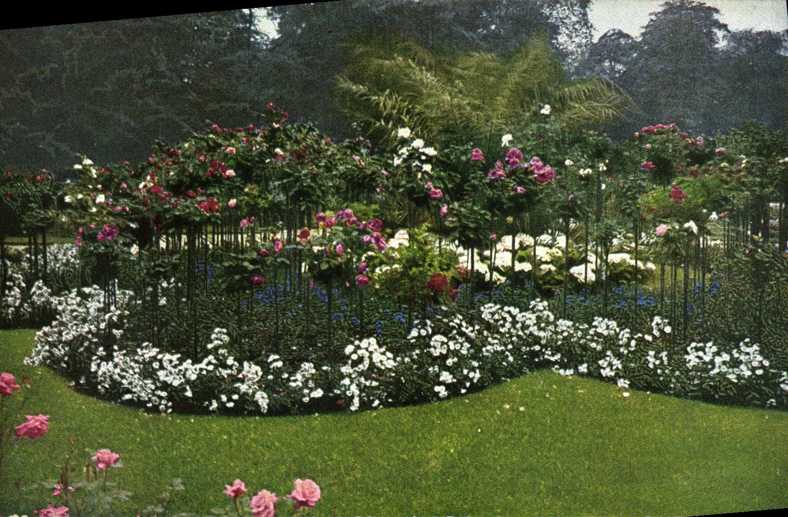 CPA Fantaisie Fleurs 
