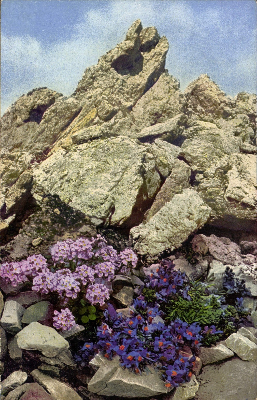CPA Fantaisie Fleurs 