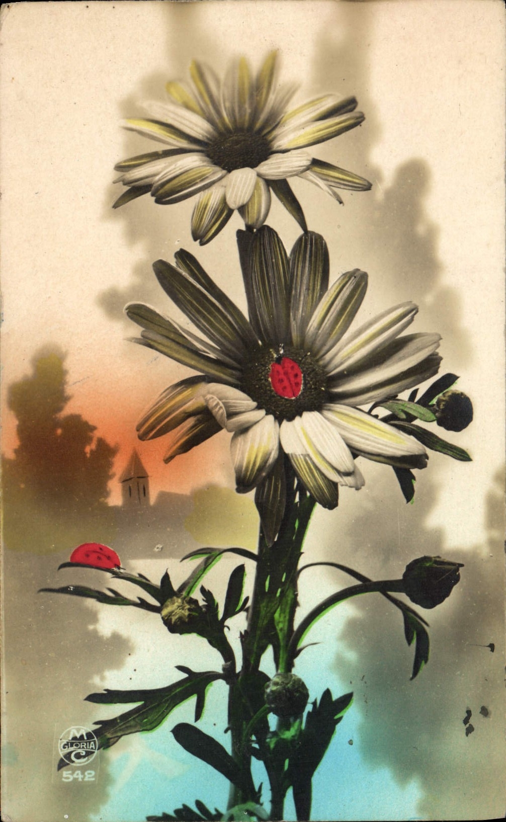 CPA Fantaisie Fleurs 