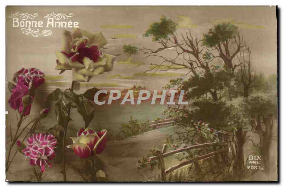 CPA Fantaisie Fleurs 