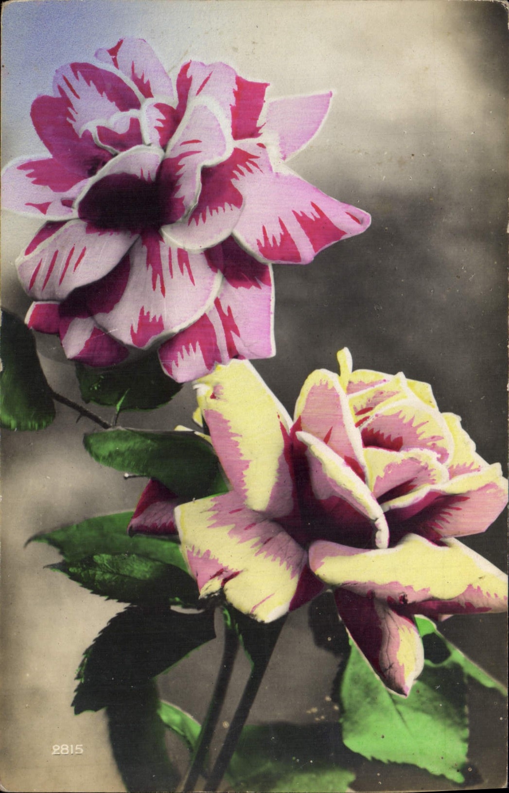CPA Fantaisie Fleurs 