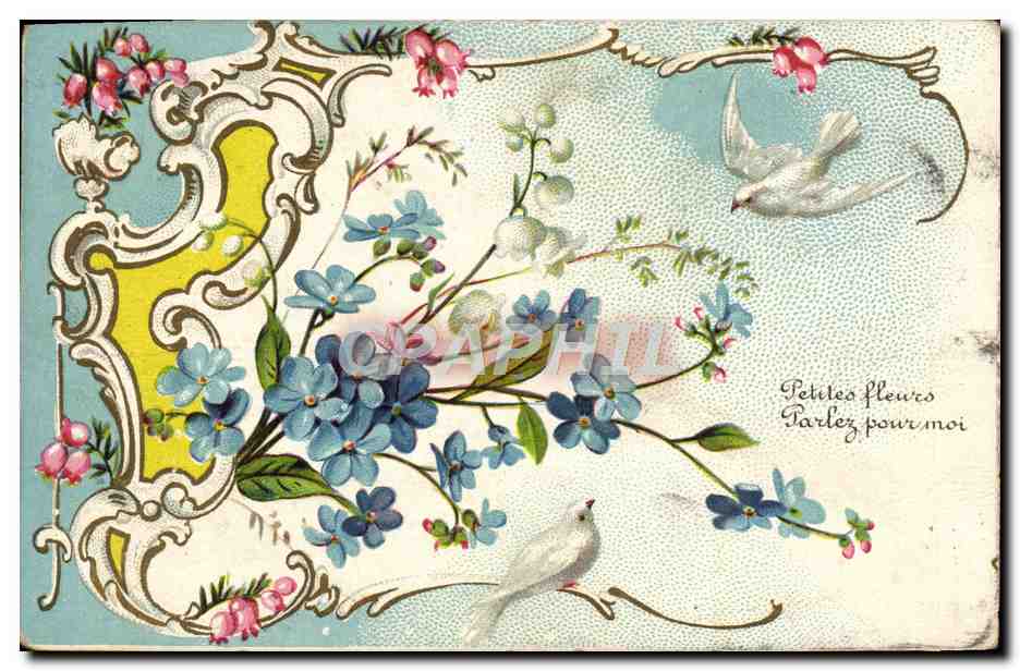 CPA Fantaisie Fleurs Colombe