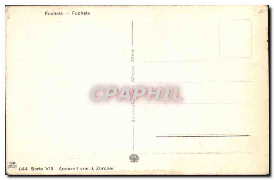 CPA Fantaisie Fleurs  — Verso