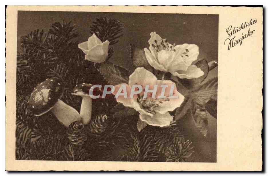 CPA Fantaisie Fleurs Champignon Champignons