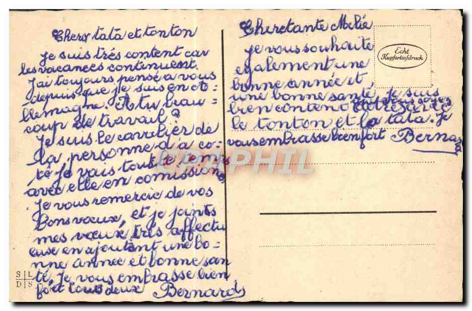 CPA Fantaisie Fleurs Champignon Champignons — Rückseite